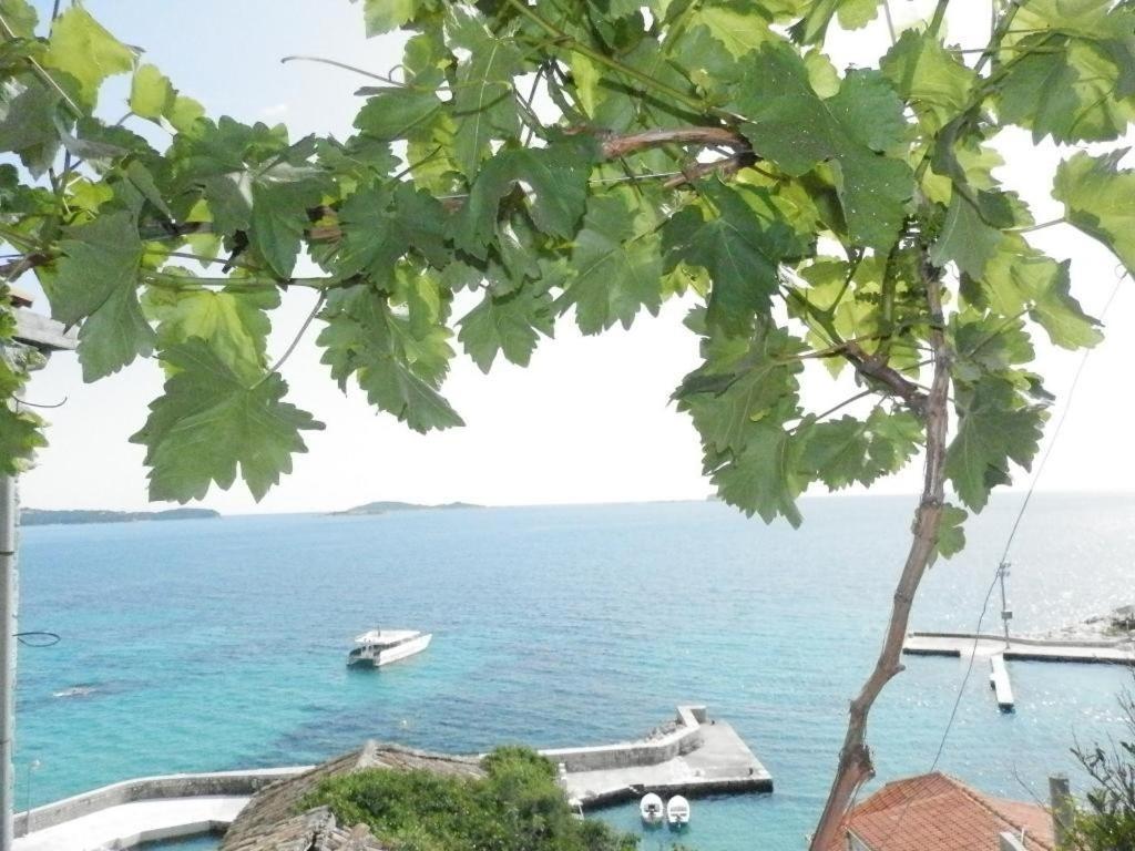 Villa Soti Mlini Dış mekan fotoğraf