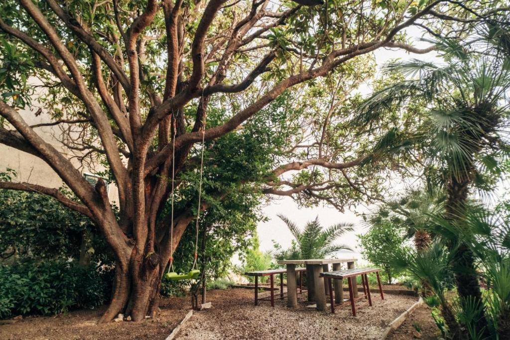 Villa Soti Mlini Dış mekan fotoğraf