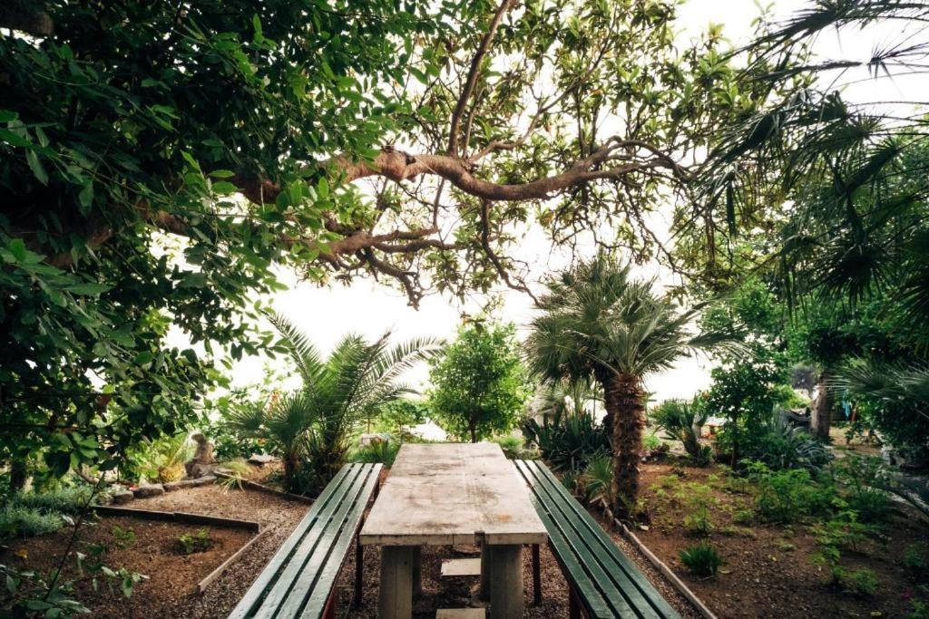 Villa Soti Mlini Dış mekan fotoğraf